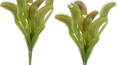 How To Cultivate A Venus Fly Trap Garden In Infinity Craft: A Step-by-Step Guide